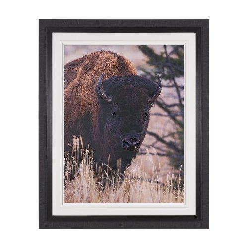 15976 - Stop Horsing Around by Gary Blatter Hand Embelished Framed Art Print Matted under Glass