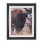 15976 - Stop Horsing Around by Gary Blatter Hand Embelished Framed Art Print Matted under Glass