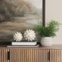 69540 - Malo 5.9L x 5.9W x 5.9H Cream Resin Large Sphere Decorative Object