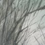 15941 - Brook and Willows I by Mercana Studio Hand Embelished Textured Framed Artwork Matted under Glass