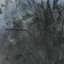 15942 - Brook and Willows II by Mercana Studio Hand Embelished Textured Framed Artwork Matted under Glass