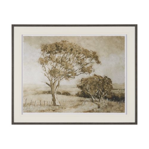 15969 - Timeless Vista I by Mercana Studio Textured Framed Artwork Matted under Glass