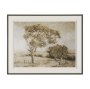 15969 - Timeless Vista I by Mercana Studio Textured Framed Artwork Matted under Glass