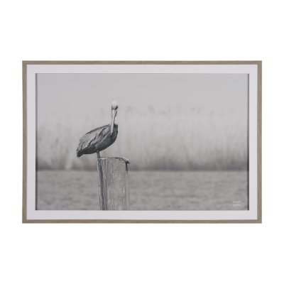 15972 - Pelican Stories by Nathan Larson Framed Art Print Matted under Glass