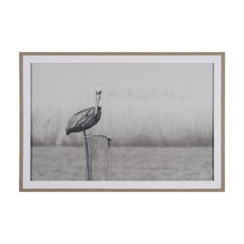 15972 - Pelican Stories by Nathan Larson Framed Art Print Matted under Glass