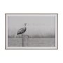 15972 - Pelican Stories by Nathan Larson Framed Art Print Matted under Glass