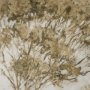 15969 - Timeless Vista I by Mercana Studio Textured Framed Artwork Matted under Glass