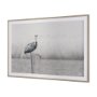 15972 - Pelican Stories by Nathan Larson Framed Art Print Matted under Glass