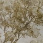 15979 - Timeless Vista IV by Mercana Studio Hand Embelished Textured Framed Artwork Matted under Glass