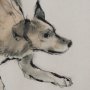 15987 - Playful Pup I by Mercana Studio Hand Embelished Framed Artwork Matted under Glass