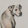 15989 - Playful Pup III by Mercana Studio Hand Embelished Framed Artwork Matted under Glass