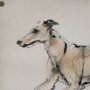 15992 - Playful Pup VI by Mercana Studio Hand Embelished Framed Artwork Matted under Glass