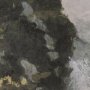 102744-FL - Silent Forest II by Mercana Studio Hand-Embellished Textured Framed Canvas Artwork