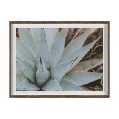 16067 - Sedona by Kelly Frere Hand-Embellished FramedPhoto Print Matted under Glass
