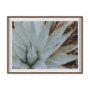 16067 - Sedona by Kelly Frere Hand-Embellished FramedPhoto Print Matted under Glass