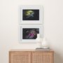 14368 - Dragon Fly by Mercana Studio a Framed Photo Art Print Matted under Glass