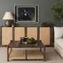 14371 - Bear by Chad Mackay a Framed Photo Art Print Matted under Glass