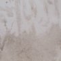 16056 - Quiet Canopy II by Mercana Studio Hand-Embellished Framed Artwork Matted under Glass
