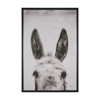 102787-FL - Downward Facing Donkey Sepia by Nathan Larson Textured Framed Canvas Photo Print