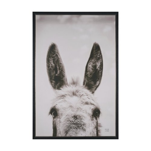 102787-FL - Downward Facing Donkey Sepia by Nathan Larson Textured Framed Canvas Photo Print