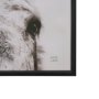 102787-FL - Downward Facing Donkey Sepia by Nathan Larson Textured Framed Canvas Photo Print