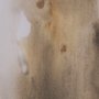 16125 - Awakening by Ira Havuka Hand-Embellished Framed Artwork Matted under Glass