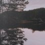 16138 - Stupell Industries Tree on Lake (Set of 2) by Thomas Tepstad Berge Framed Photo Print under Glass