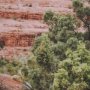 16064 - Sandstone Layers by Kelly Frere FramedPhoto Print Matted under Glass