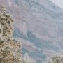 16065 - Path to Devil's Bridge by Kelly Frere FramedPhoto Print Matted under Glass
