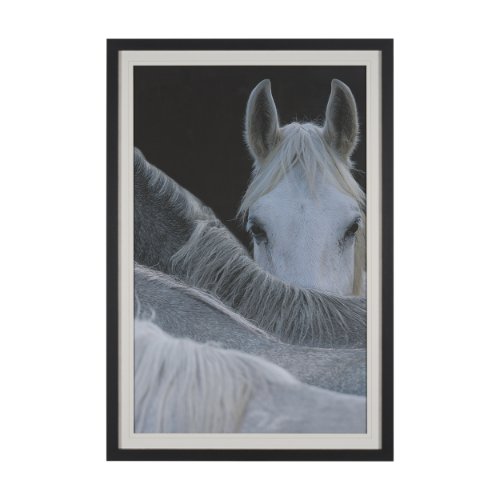 16162 - Look by Milan Malovrh FramedPhoto Print Matted under Glass