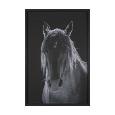 16164 - Shadowborn Majesty by Frank Ma Framed Photo Print Matted under Glass