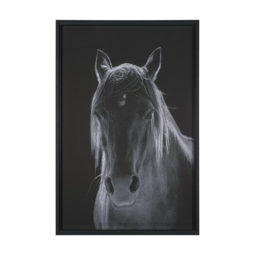 16164 - Shadowborn Majesty by Frank Ma Framed Photo Print Matted under Glass