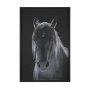 16164 - Shadowborn Majesty by Frank Ma Framed Photo Print Matted under Glass