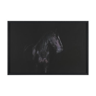 16165 - Majestic Midnight by Rehpoehler Framed Photo Print Matted under Glass