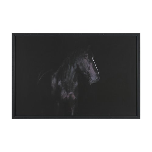 16165 - Majestic Midnight by Rehpoehler Framed Photo Print Matted under Glass