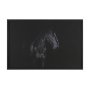 16165 - Majestic Midnight by Rehpoehler Framed Photo Print Matted under Glass