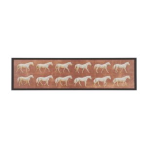 Even Cadence by Eadweard Muybridge Hand-Embellished Textured Framed Canvas Artwork