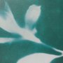 16123 - Untitled I by Liz St. Andre Textured Framed Artwork Matted under Glass