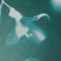 16124 - Untitled II by Liz St. Andre Textured Framed Artwork Matted under Glass
