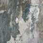 16140 - Forest Whispers I by Mercana Studio Hand-Embellished Textured Framed Artwork Matted under Glass