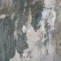 16142 - Forest Whispers III by Mercana Studio Hand-Embellished Textured Framed Artwork Matted under Glass