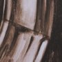 16148 - Vintage Propeller (Sepia) (Set of 3) by Ethan Harper Framed Artwork Matted under Glass