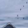 16155 - Breezy Blue Escape by Lotte Gronkjaer FramedPhoto Print Matted under Glass