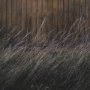 16156 - Beach Hut by Lotte Gronkjaer FramedPhoto Print Matted under Glass