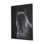 16164 - Shadowborn Majesty by Frank Ma Framed Photo Print Matted under Glass
