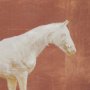 102769-FS - Even Cadence by Eadweard Muybridge Hand-Embellished Textured Framed Canvas Artwork