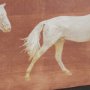 102769-FS - Even Cadence by Eadweard Muybridge Hand-Embellished Textured Framed Canvas Artwork