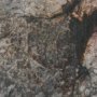 102774-FL - Emergence by Ira Havuka Hand-Embellished Textured Framed Canvas Artwork