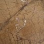 71205 - Matteo Solid Rainforest Rust Marble Rectangular Coffee Table