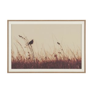 Meadowlark Call Antique by Nathan Larson FramedPhoto   Matted under Glass